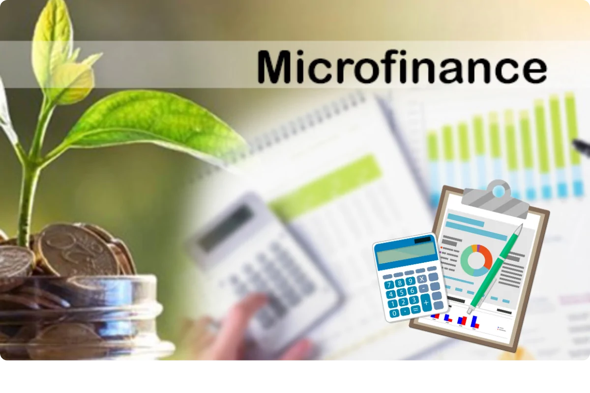 micro-finace-industry2